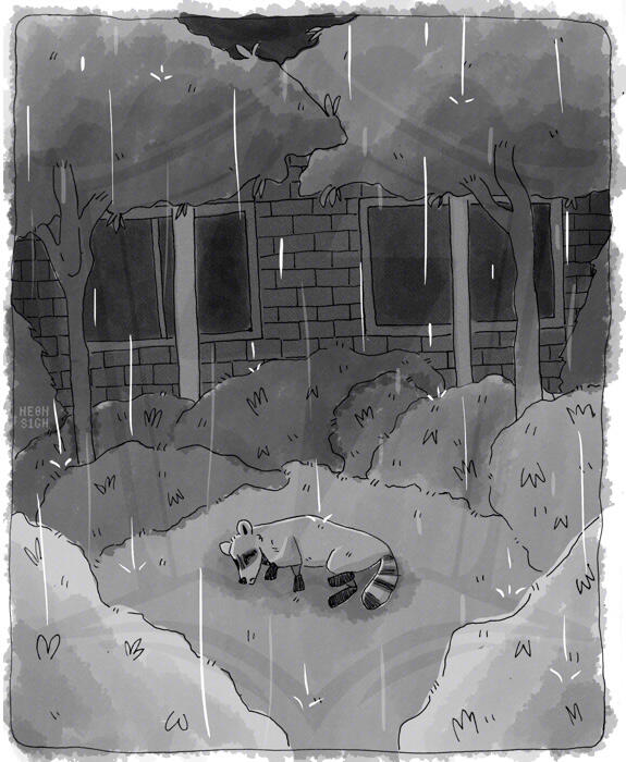 2022 | Raccoon Life*